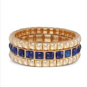 NWOT Roxanne assoulin set of three bracelets